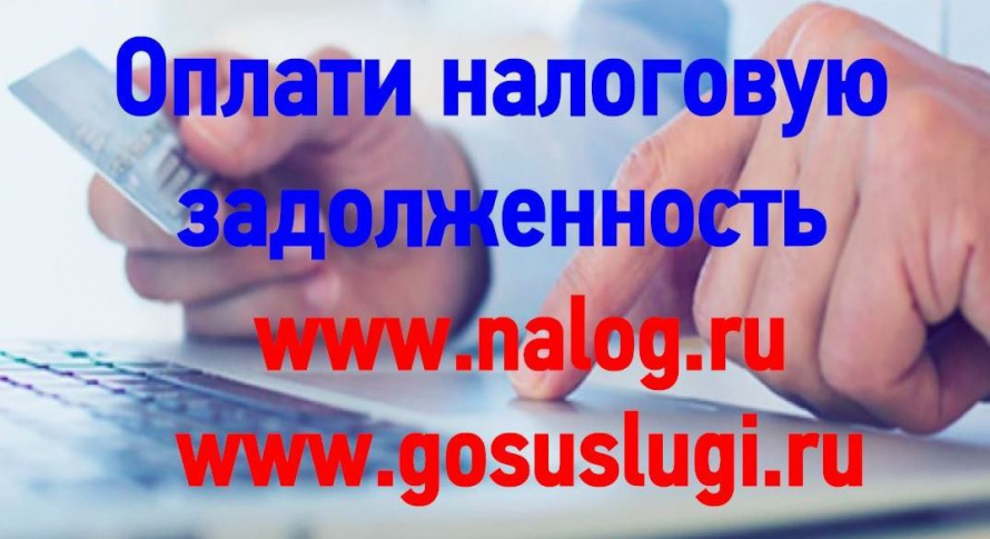 Как проверить и оплатить налоговую задолженность?