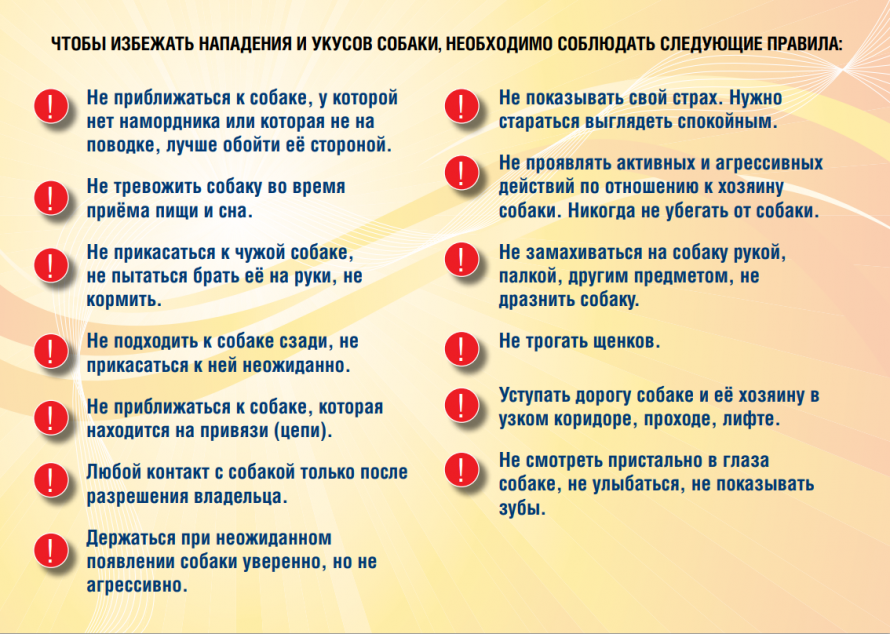 ИНФОРМАЦИОННОЕ СООБЩЕНИЕ